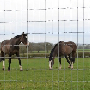 ECO FRIENDLY Galvanized Sheep Livestock Wire Mesh Rolls Security Farm/Horse Cattle Field Fence for Fixed Knot/Deer