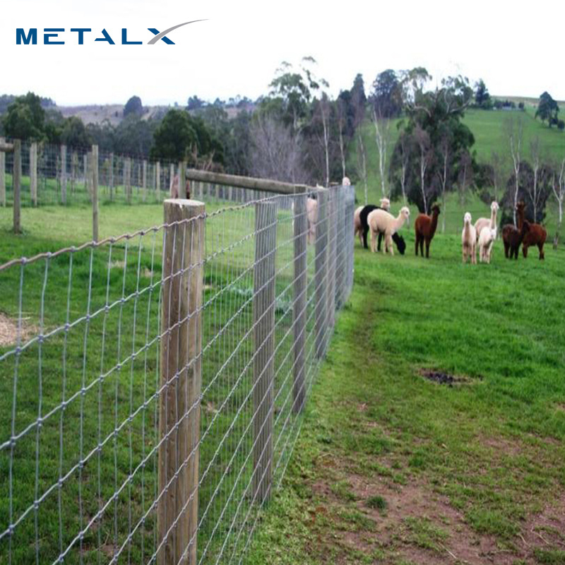 Cheap 4ft 5ft 6ft 8ft height pasture fence goat farming high quality game wire farm fence goat farming grassland field fence