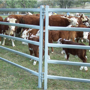 Wholesale cheap portable galvanized welded metal bulk livestock yard farm cattle corral panels