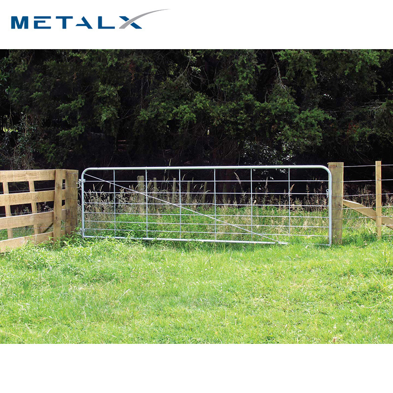 Australia Market Used Galvanized Steel Pipe Livestock Cattle Farm House Main Gate Designs