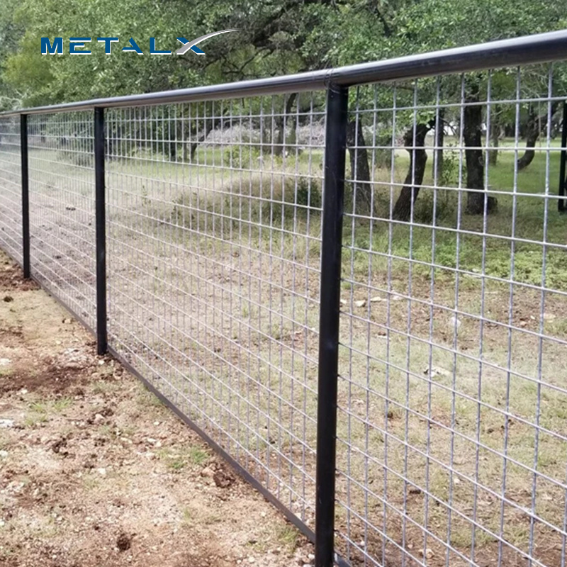 Cheap Hot Dipped Galvanized Welded Wire Mesh Fence Panel Chicken Wire Fencing Panels For Sale