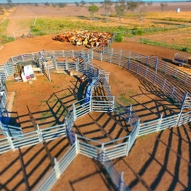 Custom Used Heavy Duty Galvanized Steel Pipe Livestock Cattle Metal Farm Gate Design