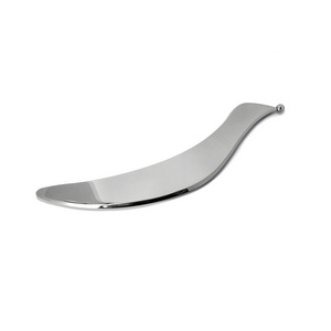 Large Bird Shape Fascia Board Stainless Steel Metal gua sha Massage Deep Tissue Pain relief Blaster Device Wholesale China