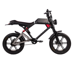 2024 Most Powerful 48V 20 inch 5000w electric fat tire mountain bike