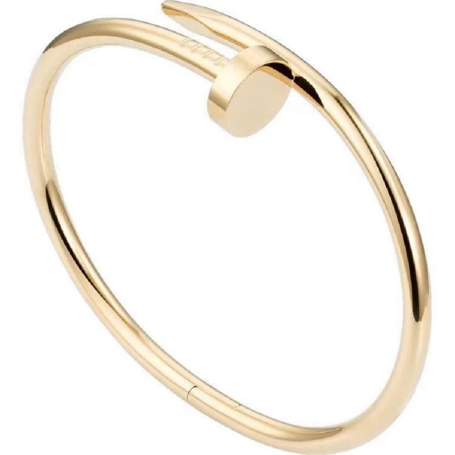 Fashion 18K Gold Stainless Steel 750au Nail Bangle Nail lover Bracelet Designer Bangle Gold Thin for Women Men