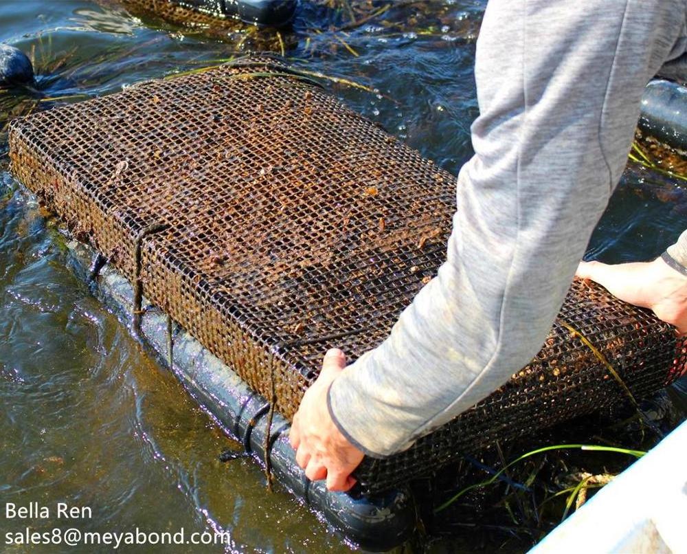 sea cage for oyster cultivation