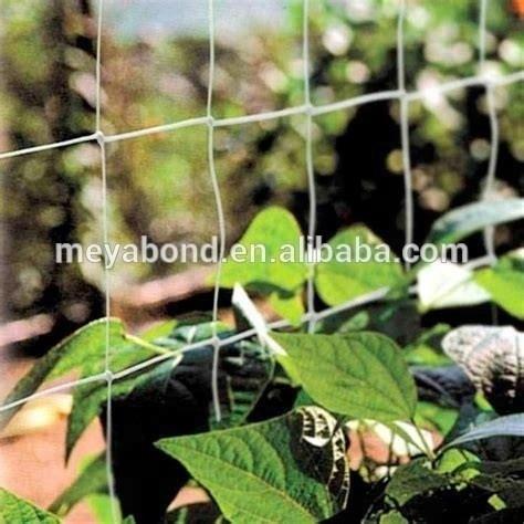 HDPE Plant support net Plant climbing net Cucumber support net Bean and pea netting