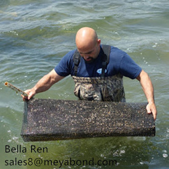 sea cage for oyster cultivation