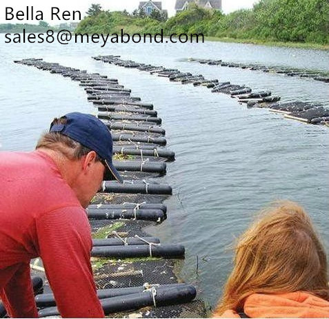 sea cage for oyster cultivation