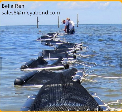 sea cage for oyster cultivation