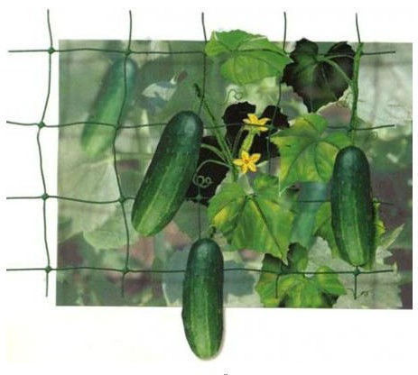 HDPE Plant support net Plant climbing net Cucumber support net Bean and pea netting