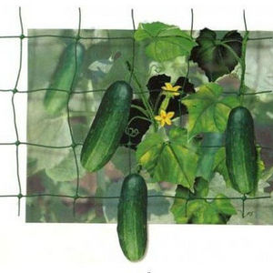 HDPE Plant support net Plant climbing net Cucumber support net Bean and pea netting