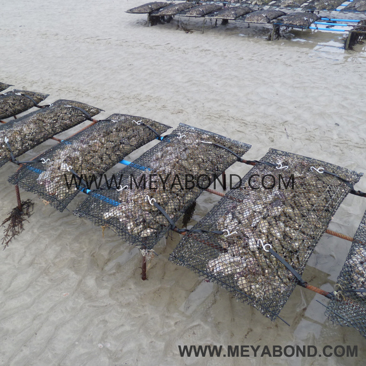 Oyster growing mesh bags and cages for aquaculture