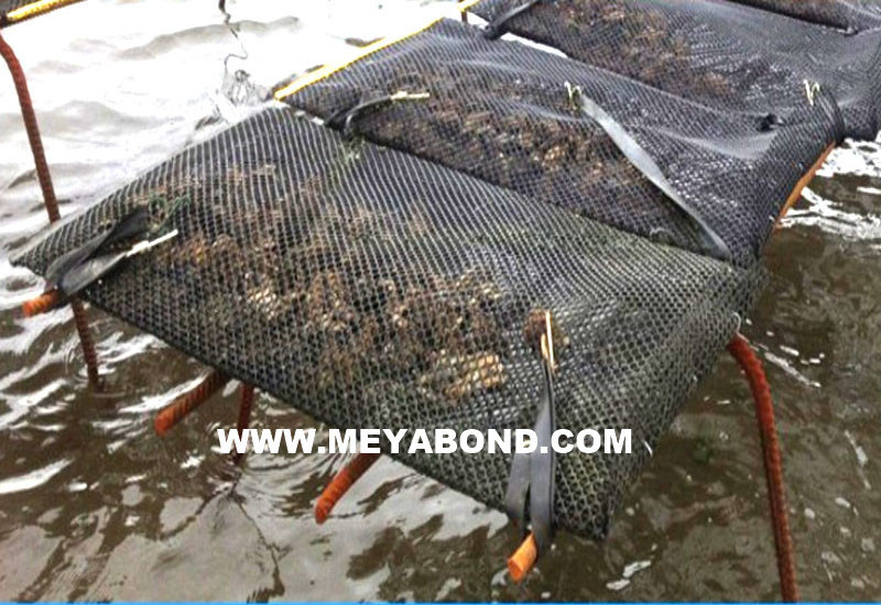 Oyster growing mesh bags and cages for aquaculture