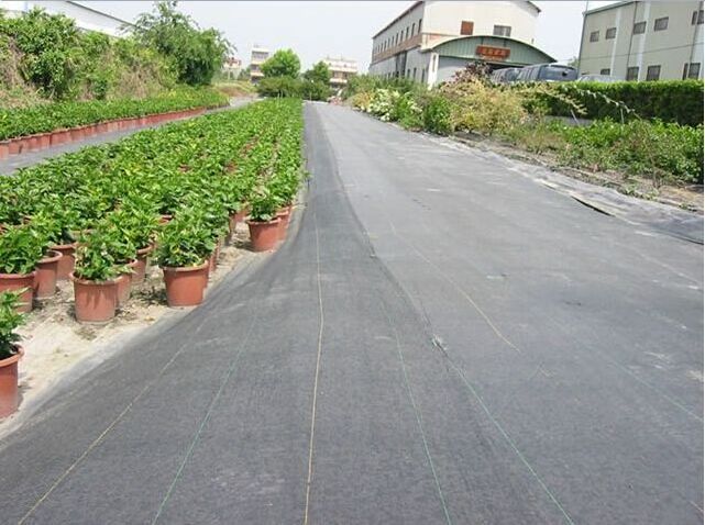 Agriculture PP woven weed mat fabric anti weed mat for strawberries blueberries horticulture ground cover weed control mat