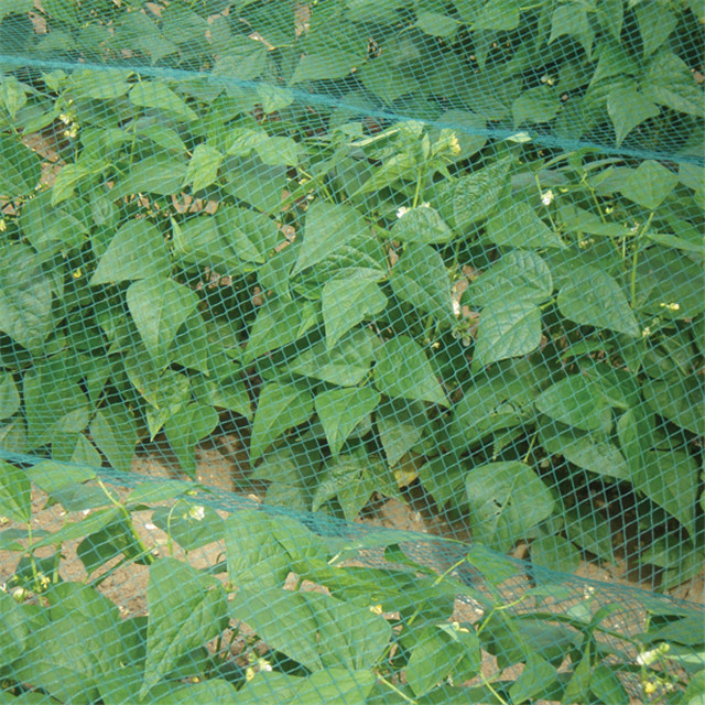 High quality agricultural bird nets for catching birds