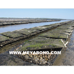 Oyster growing mesh bags and cages for aquaculture