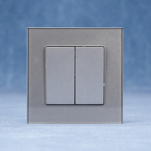 Modern Wall Glass Switch Cover Plate EU 2 Gang Wall Switches With Tempered Glass 250V 10A