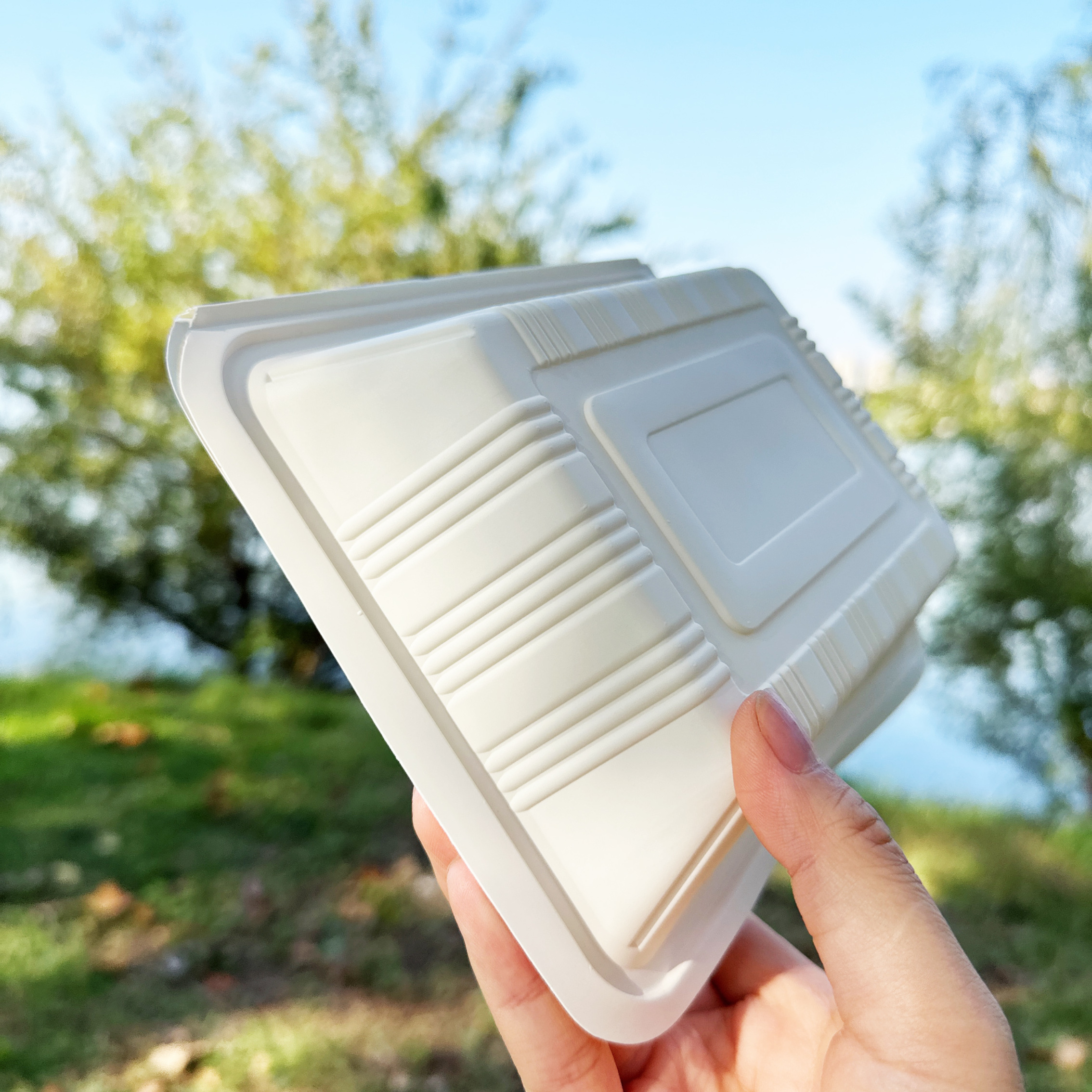 Compostable Tableware Disposable Envase Biodegradable Dinnerware 650ml cornstarch Clamshell Food Container box