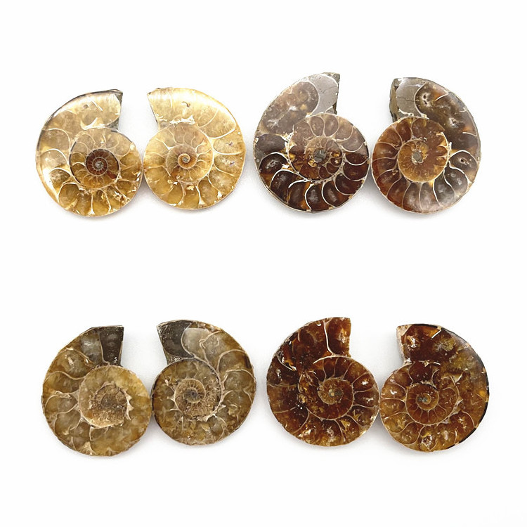 High Quality Brown Ammonite Matching Pair Pendant Accessories Cabochons Smooth Handmade Stone Fossil Mineral Specimen