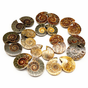 High Quality Brown Ammonite Matching Pair Pendant Accessories Cabochons Smooth Handmade Stone Fossil Mineral Specimen