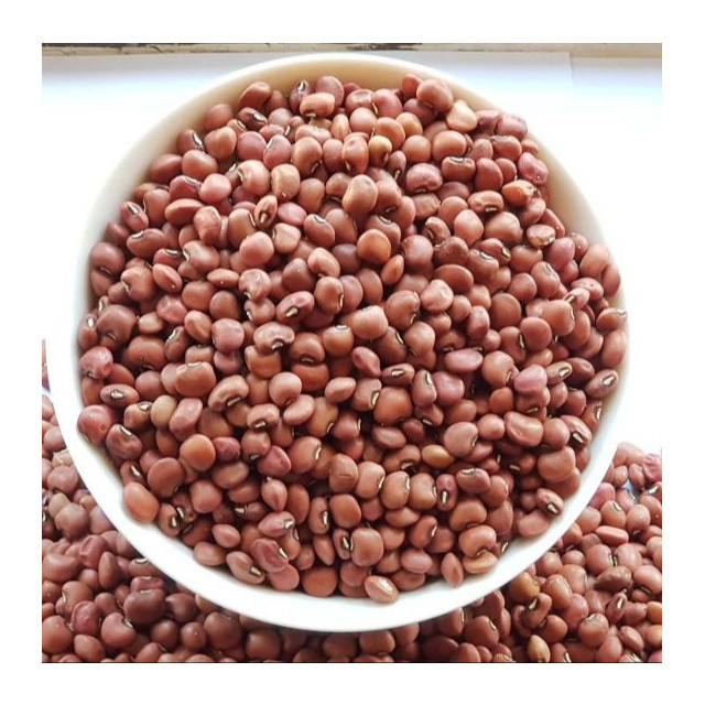 All Natural Madagascar Export Price Wholesale Bulk Red Lentils Supplier Dried Red Moong Kidney Bean