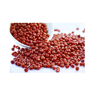 All Natural Madagascar Export Price Wholesale Bulk Red Lentils Supplier Dried Red Moong Kidney Bean