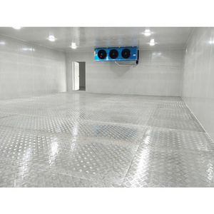 Frozen chicken meat cold room storage supplier with insulation panel