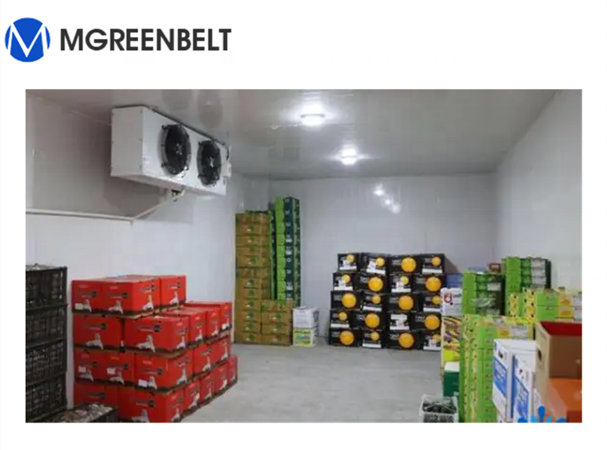 Frozen chicken meat cold room storage supplier with insulation panel