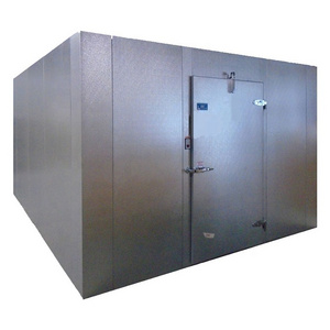 Industrial Cold Room Meat Walk in Freezer with Cam lock pu panels