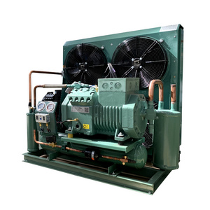 meat and fish condensing unit compressor for freezer room