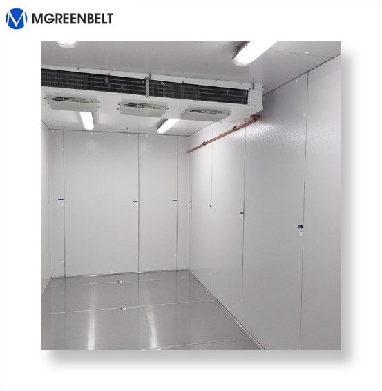 Cold Storage Project Manufacturer Walk In Freezer Mobile Cold Room