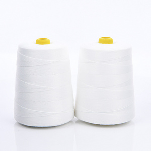 Wholesale 12S/6 20S/6 100% Polyester Bag Sewing Thread Bag Closing Thread 250G