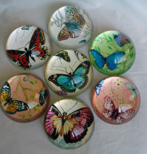 vintage glass butterfly crystal dome paperweights MH-F0111