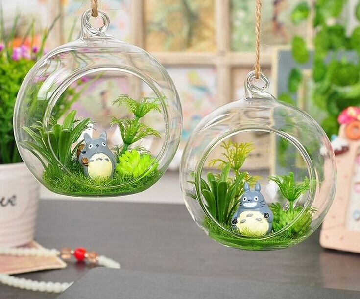 hand blown glass balls terrarium MH-12802