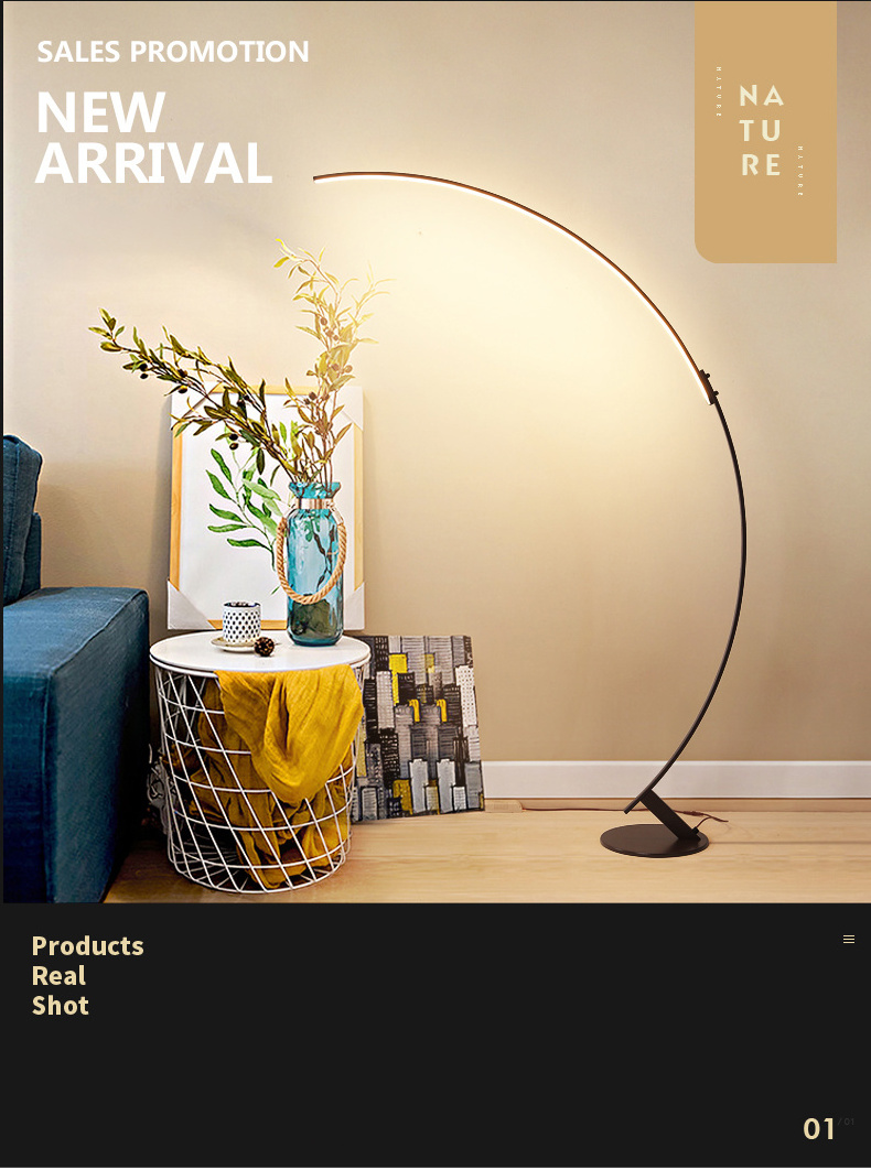 2023 Hot Sale Modern Corner Floor Lamp  Simple Lamp Bedroom Living Room Standing Led  Modern Lighting 110V/220V