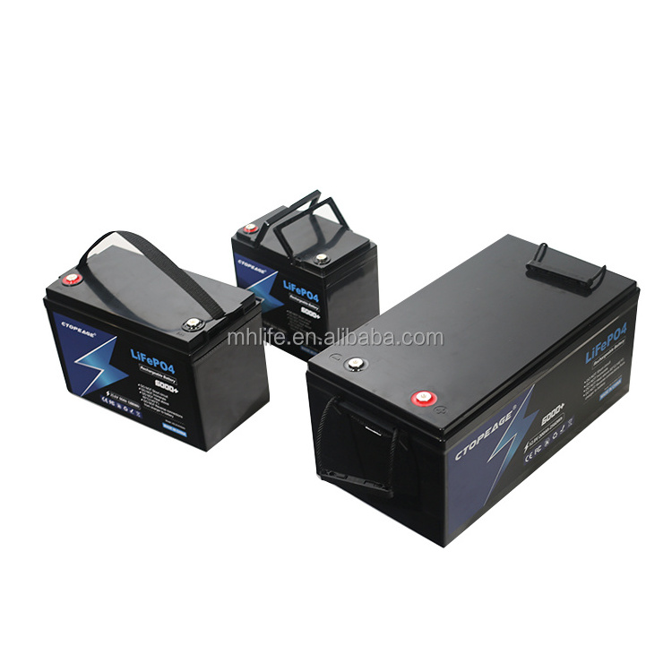 12/24 Volt Lithium Ion Solar Battery Storage Systems 48v 100ah Lithium Battery 400ah 200ah 120ah 100ah Lifepo4 Battery