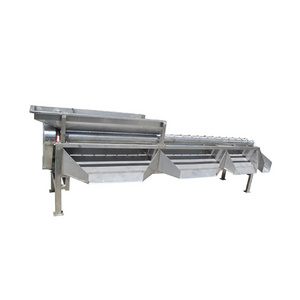 Vegetable and Fruit Sorting Machine