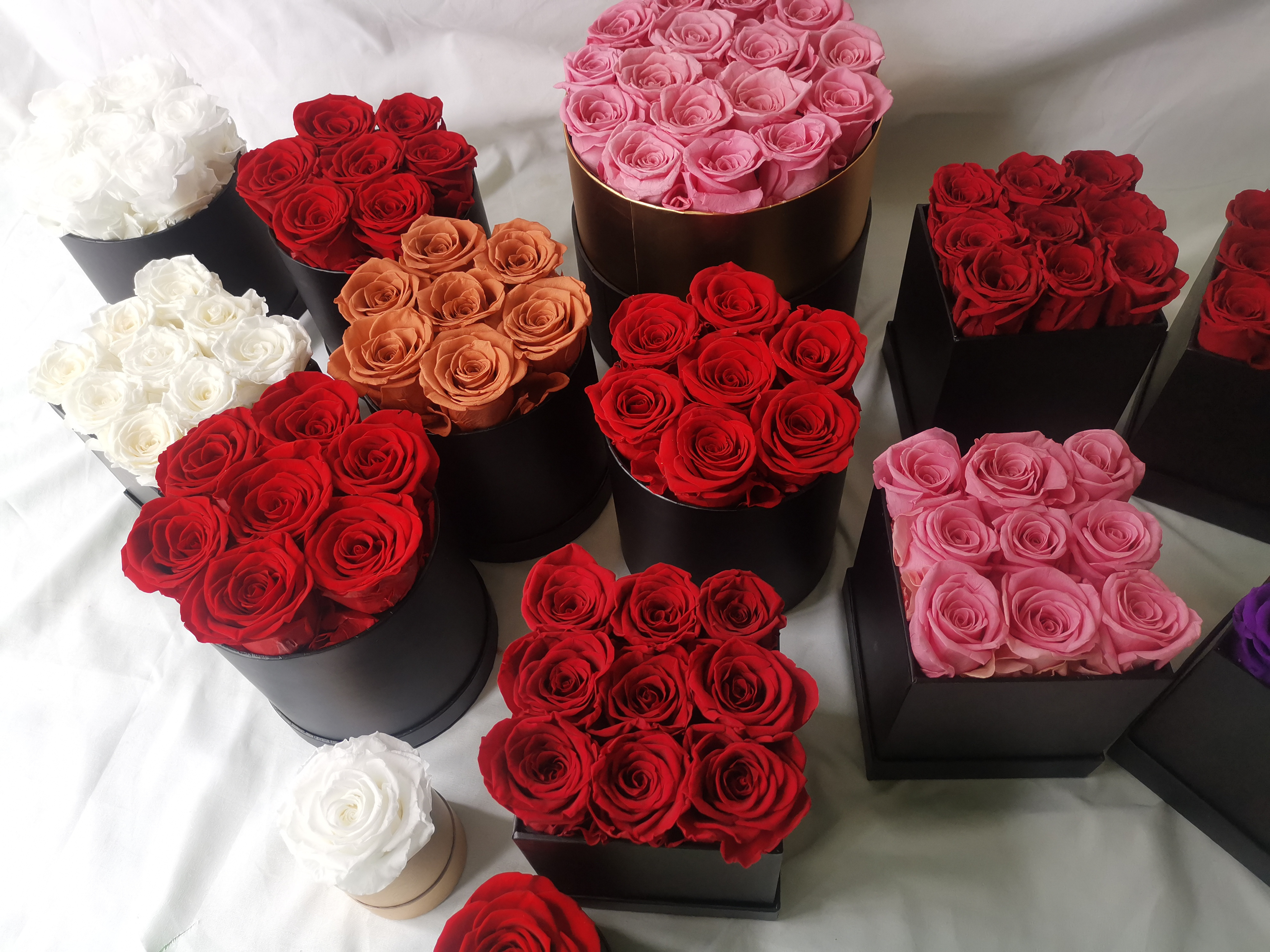 Eternal roses preserved flowers rosas eternas preservadas 2023 decorative rose forever box gift preserved roses