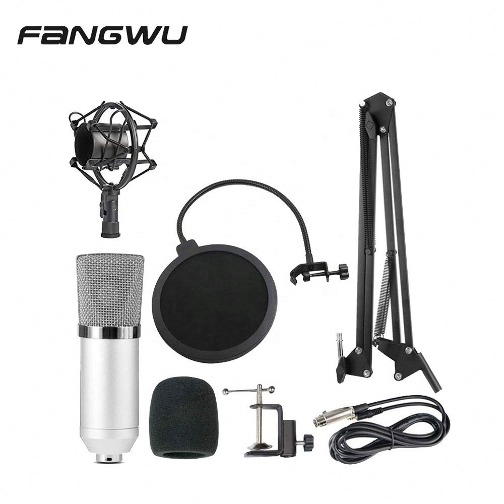 High Quality Condenser Mini Microphone