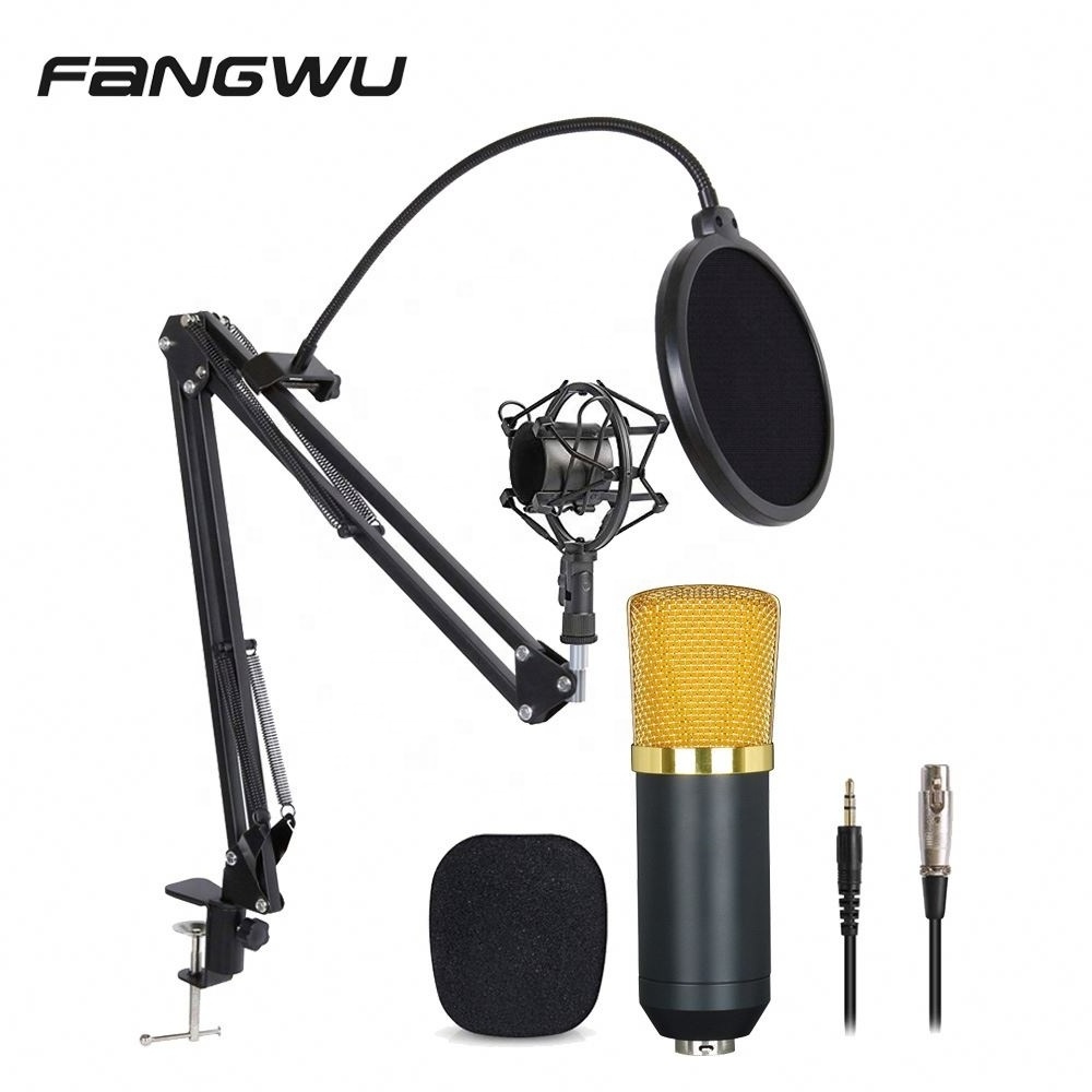 High Quality Condenser Mini Microphone