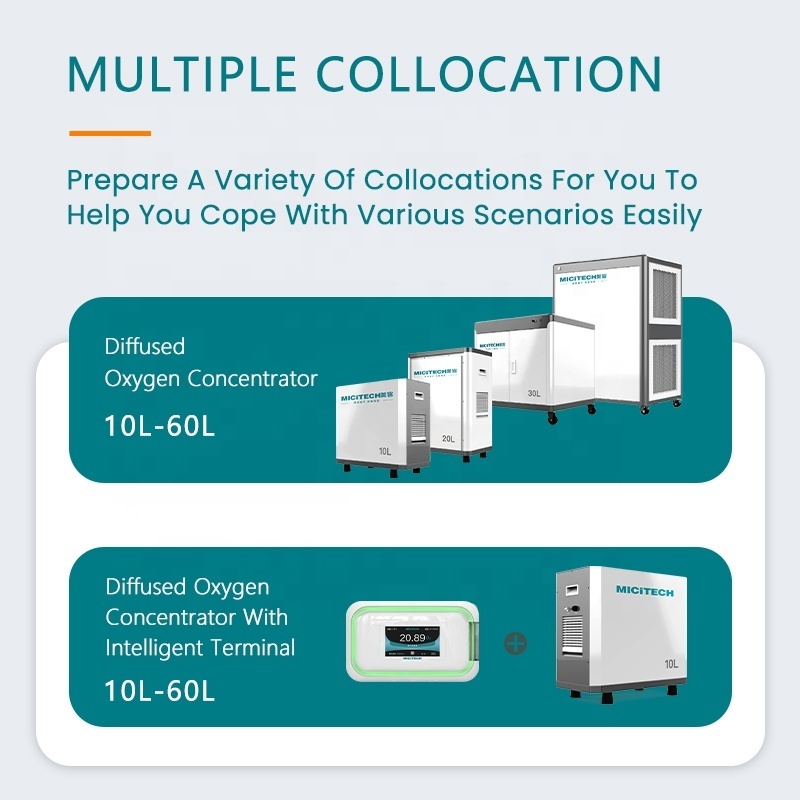 MICiTECH dispersive spatial oxygenation 10l-60l oxygen generator O2 machine 10 liter home healthcare 10L oxygene concentrator