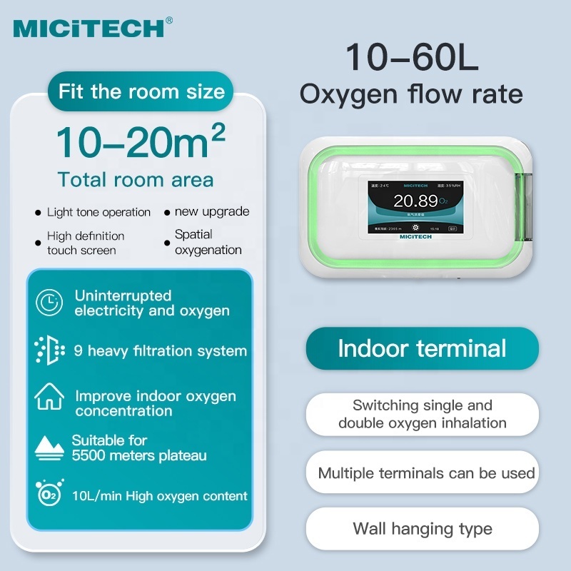 MICiTECH dispersive spatial oxygenation 10l-60l oxygen generator O2 machine 10 liter home healthcare 10L oxygene concentrator