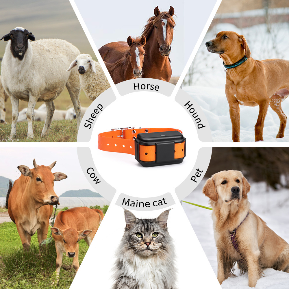 Latest MiCODUS MP50G Anti Lost Voice Monitor Cattle Sheep GPS Tracking Device Waterproof GPS Dog Tracker Collar For Hunting