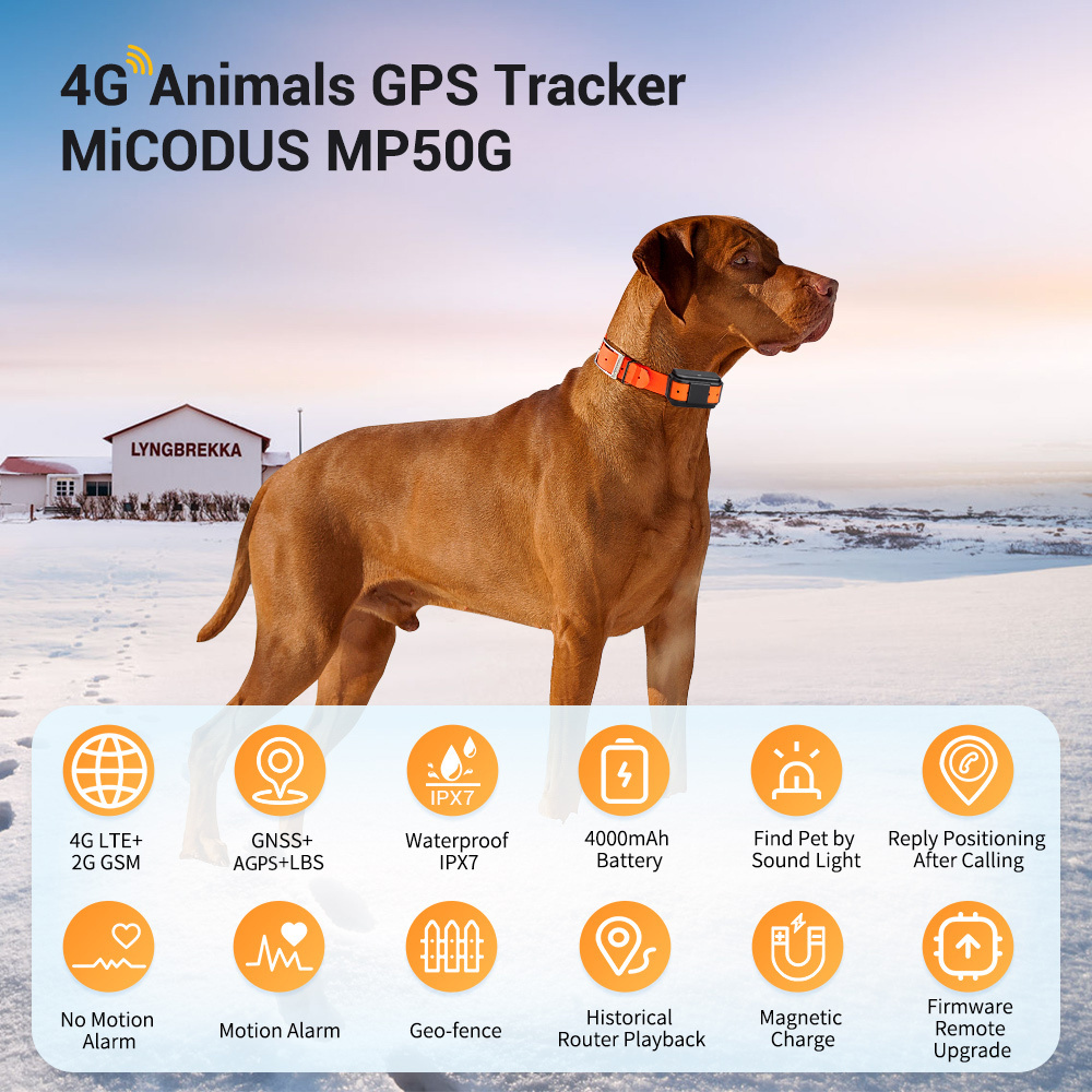 Latest MiCODUS MP50G Anti Lost Voice Monitor Cattle Sheep GPS Tracking Device Waterproof GPS Dog Tracker Collar For Hunting