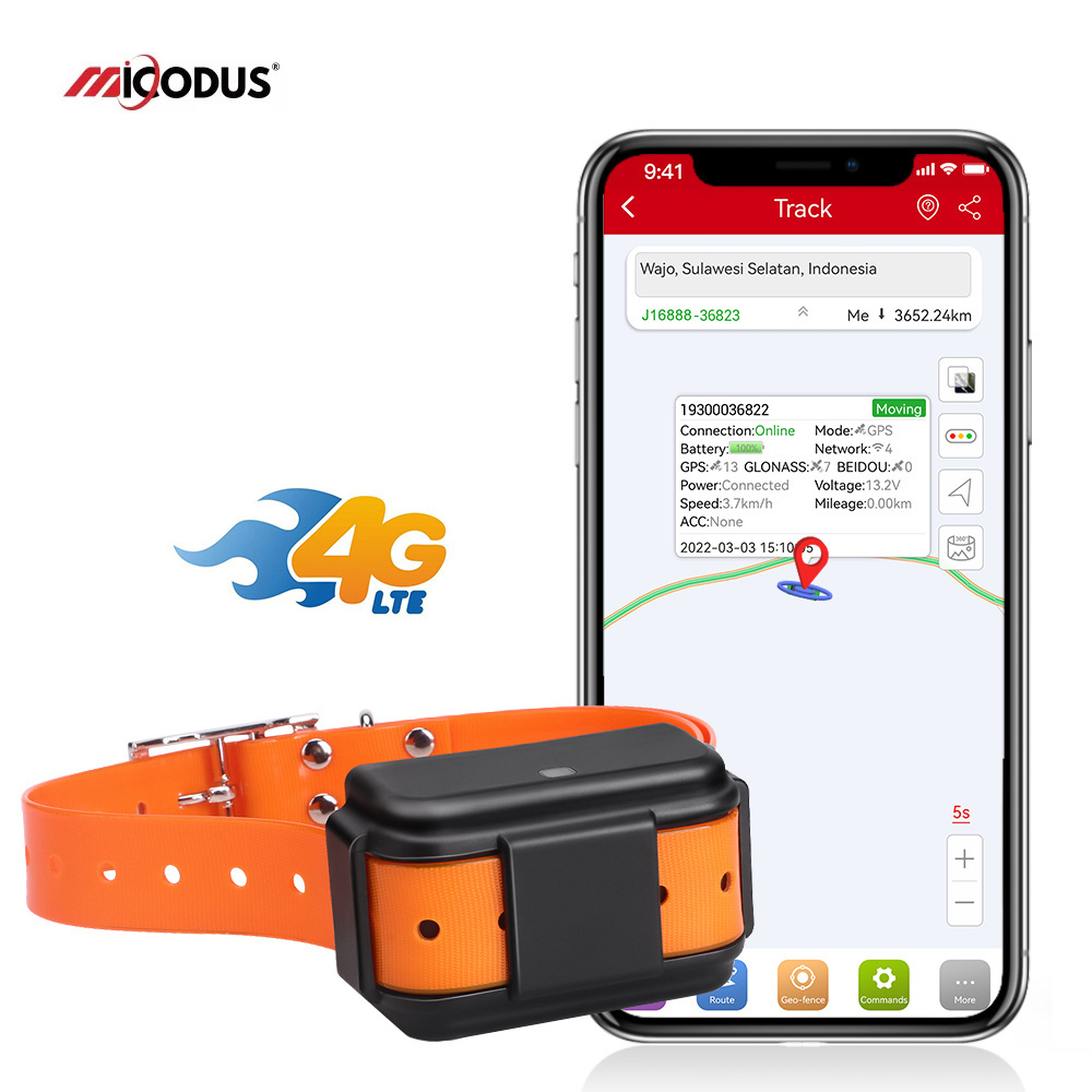 MiCODUS MP50G IPX7 Waterproof Geofence Pet Locator Real-Time Positioning 4G Hound Gps Tracker Hunting Dog Gps Tracking Collar