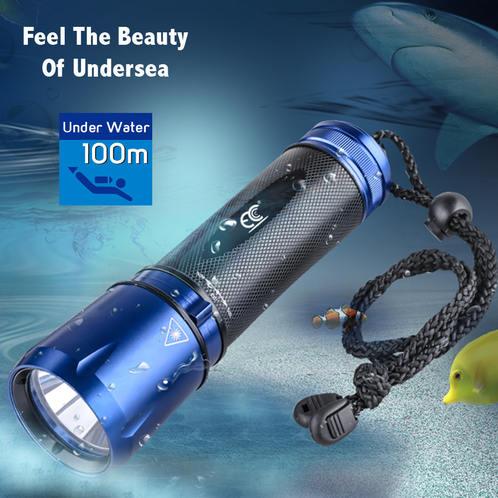 Diving Flashlight 1000 lumens with 18650 Battery and Charger