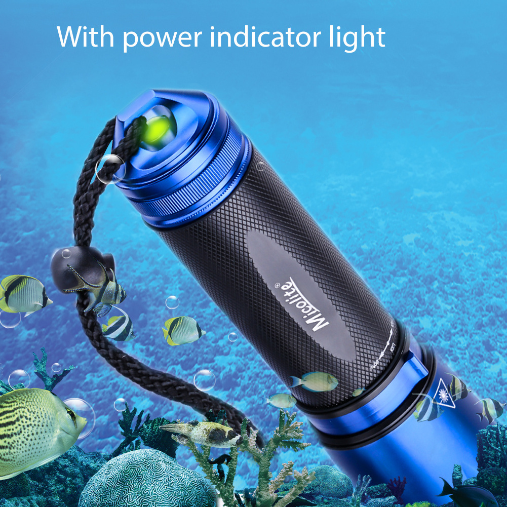 Diving Flashlight 1000 lumens with 18650 Battery and Charger