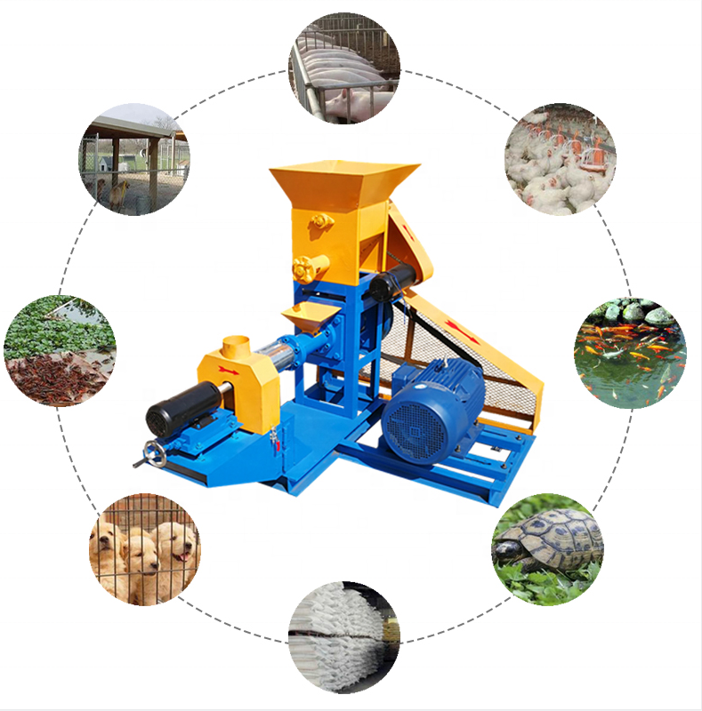 Animal Floating Fish Malaysia 1ton Feed Pellet Machine 4mm