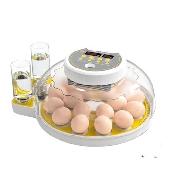 Factory direct supply 24 Egg Guinea Fowl 64 Full Automatic Chicken Eggs Incubator